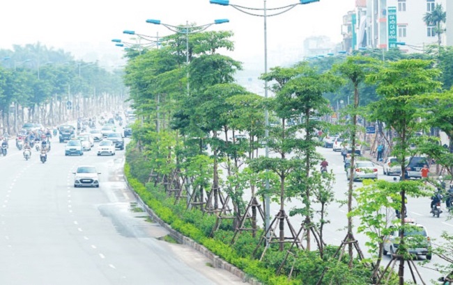 Read more about the article Những điều cần biết về  tiêu chuẩn cây xanh đô thị tại Việt Nam